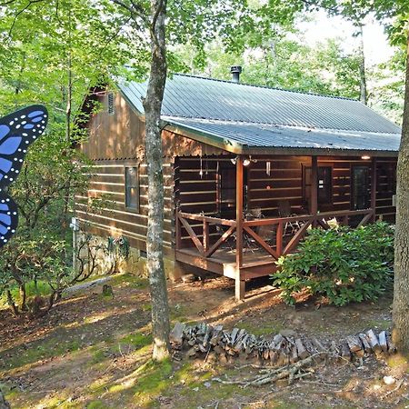 Laurel Creek- Blue Ridge Villa Екстериор снимка