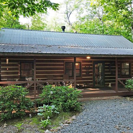Laurel Creek- Blue Ridge Villa Екстериор снимка